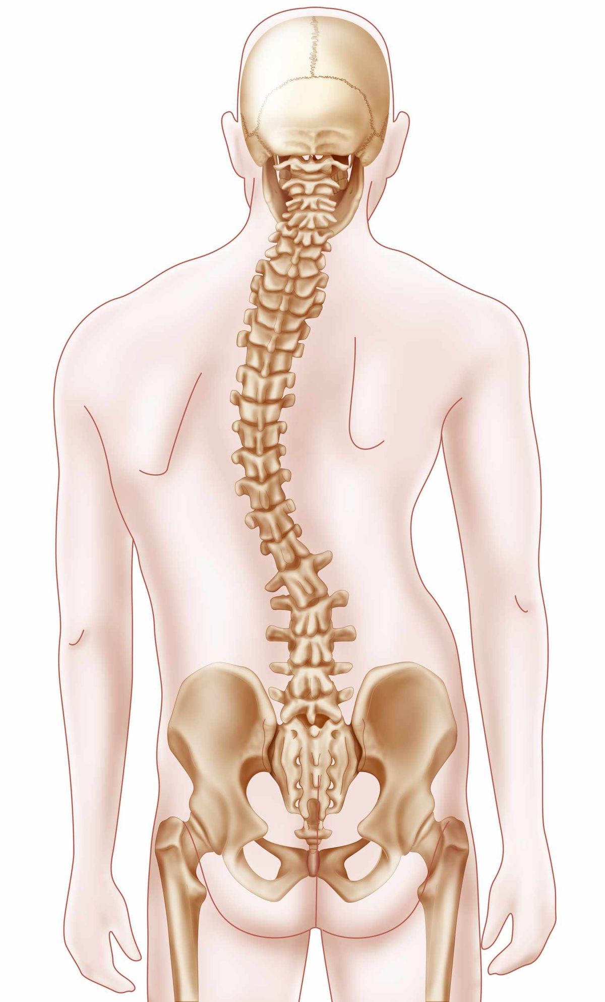 Schroth Terapi Nedir?