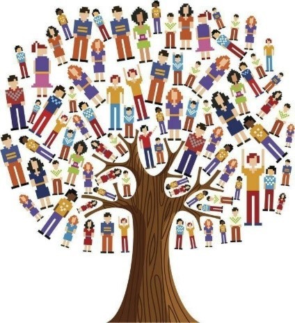 Aile Dizilimi