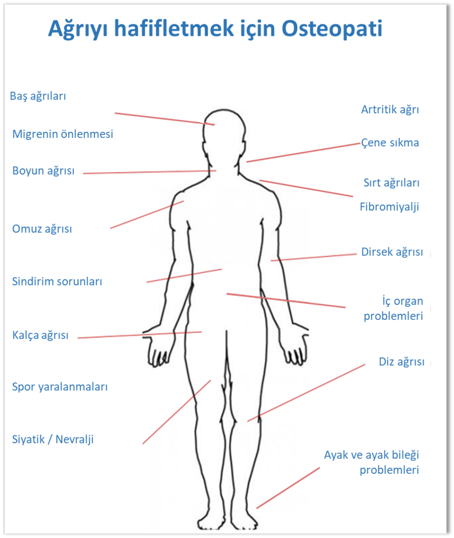 osteopati ƒematik TÜRKÇE v5