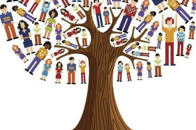 Aile Dizilimi Uygulaması.